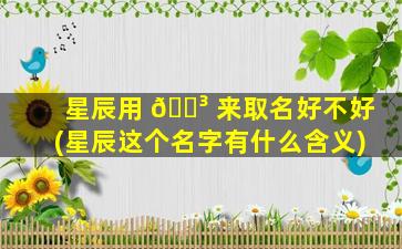 星辰用 🐳 来取名好不好(星辰这个名字有什么含义)